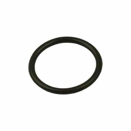 Giant Pumps 07770 Oil Seal O-Ring