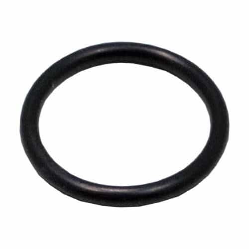 8573 Giant Pumps O-Ring
