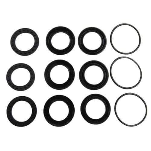 Giant Pumps 09081 Plunger Packing Kit with Weep Seal