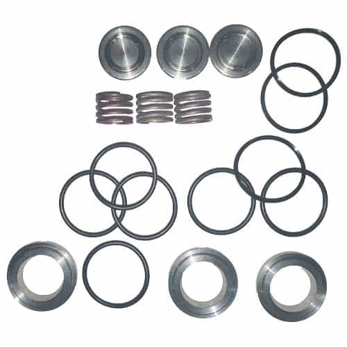 09196 Giant Pumps Valve Kit