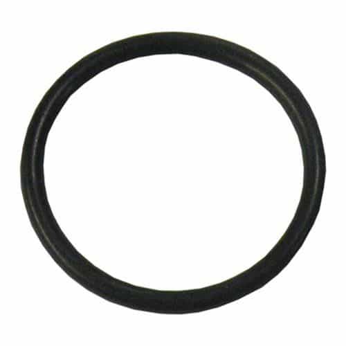 12057 Giant Pumps O-Ring for Regulators.
