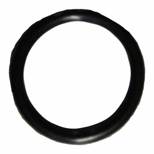 12204 Giant Pumps Valve Stem O-Ring