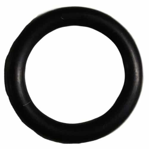 12307 Giant Pumps Piston O-Ring