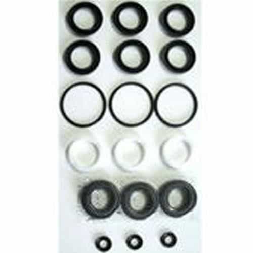 CAT Pumps 33953 High-Temperature Seal Kit