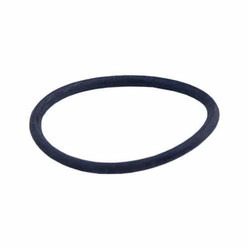 44001 CAT Pumps Seat O-Ring