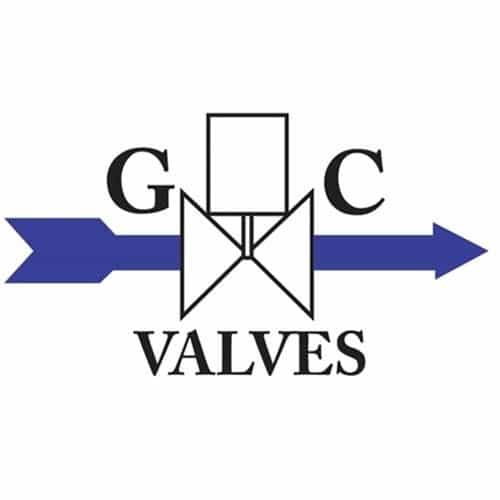 G.C. Valves Repair Kit K202N5C