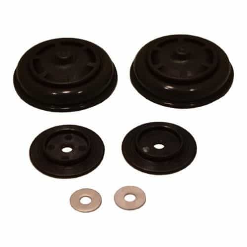 21000661A Kalrez Diaphragm Kit