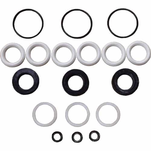 CAT Pumps 31665 High-Temp Seal Kit