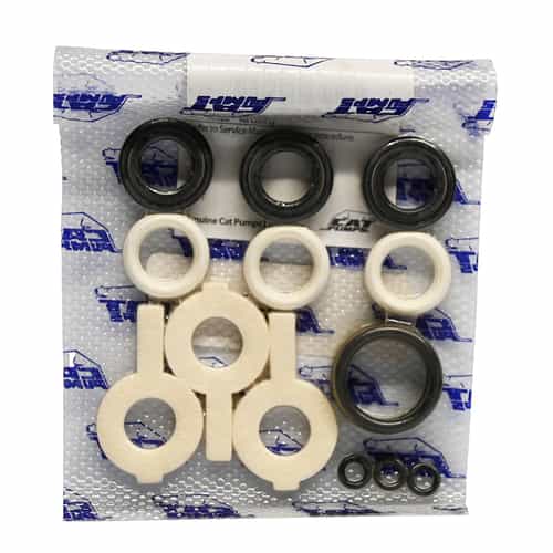 CAT Pumps 31610 High-Temp Seal Kit for 550 Pumps