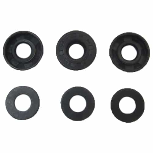 09314 Giant Pumps Oil Seal Kit - P Series