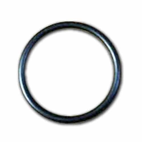 Giant Pumps Inlet Filter, 300 Micron - 22145C