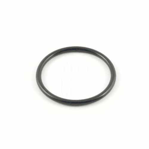 1210.0386.00 Comet Pumps O-Ring