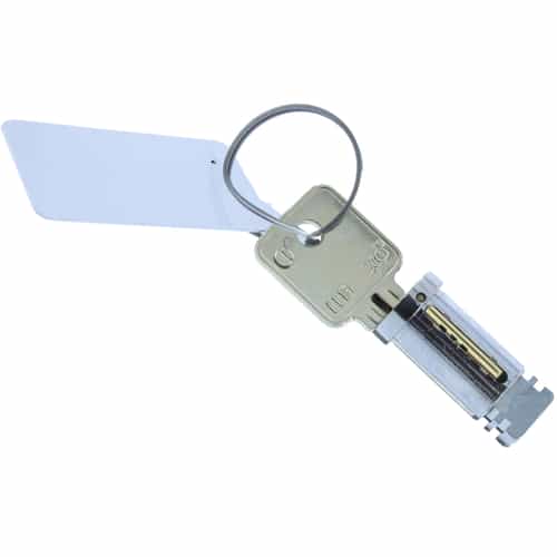 Plug Locks (2) with 2 Keys
