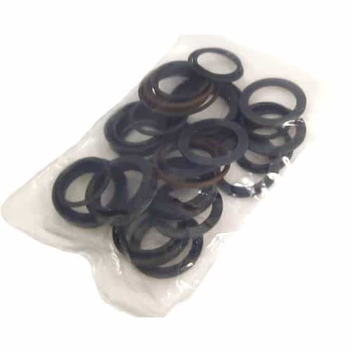 09456 Giant Pumps Viton Packing Kit - P300 Series