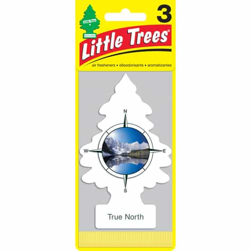 Little Tree True North 3-Packs