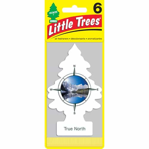 Little Tree True North 6-Packs