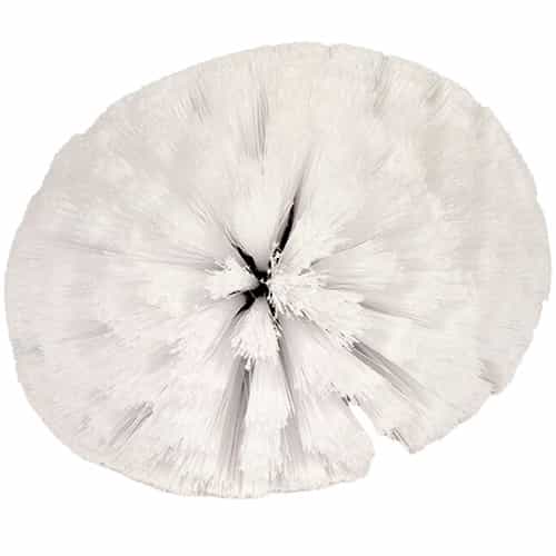 259660 Erie Brush All Arounder White Bristle Brush