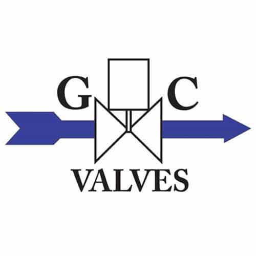 G.C. Valves KS311AF02N2AC3 Rebuild Kit - 311 Series Valves