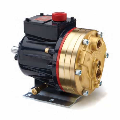 D10SKBTSFHHA Hydra-Cell D-10 Displacement Pump